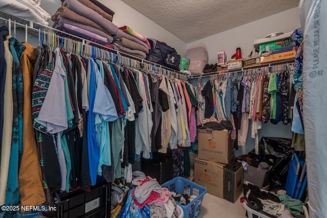 2484 Royal Pointe Dr, Green Cove Springs, FL 32043 - view of walk in closet