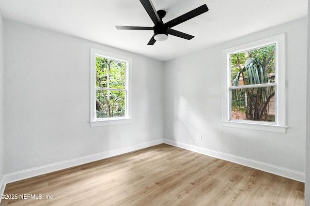 1177 8th St W, Jacksonville, FL 32209 - photo 20