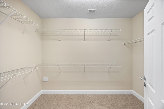 42 Acorn Grove Ct, Ponte Vedra, FL 32081 - photo 23