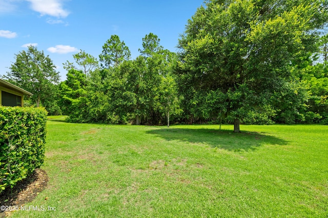 42 Acorn Grove Ct, Ponte Vedra, FL 32081 - photo 36