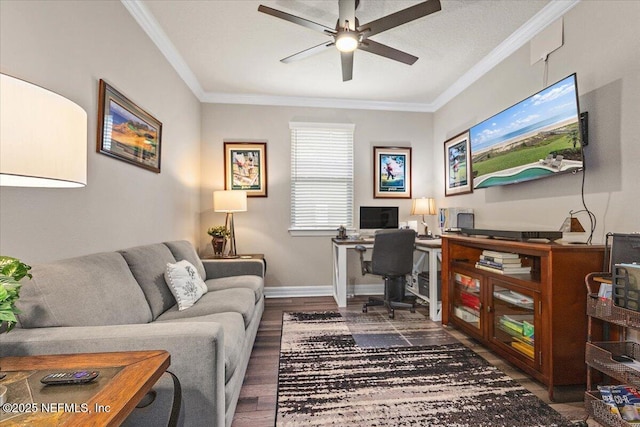 114 Artist Oaks Ct, Saint Augustine, FL 32095 - photo 13