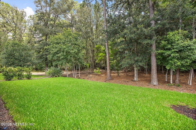 114 Artist Oaks Ct, Saint Augustine, FL 32095 - photo 24
