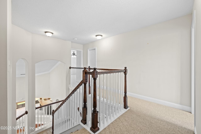2269 Cascadia Ct, Saint Augustine, FL 32092 - hallway with an upstairs landing, carpet, and arched walkways