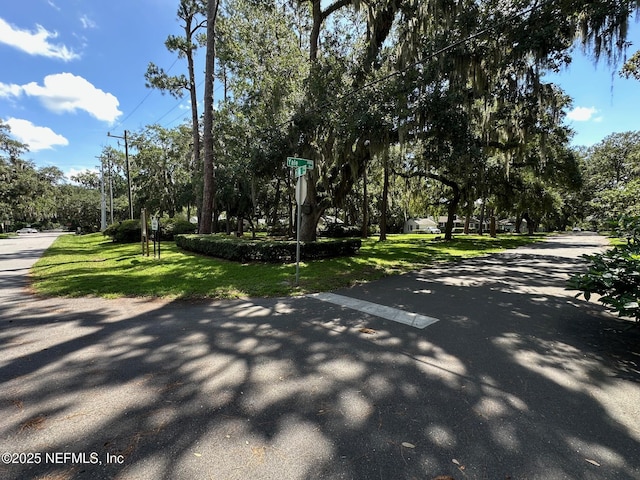2804 Grand Ave, Jacksonville, FL 32210 - photo 57