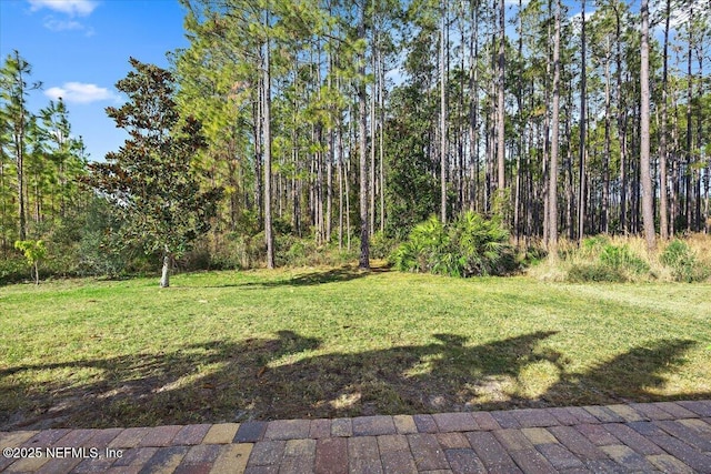 102 Anguilla Blvd, Saint Augustine, FL 32092 - view of grassy yard with a view of trees