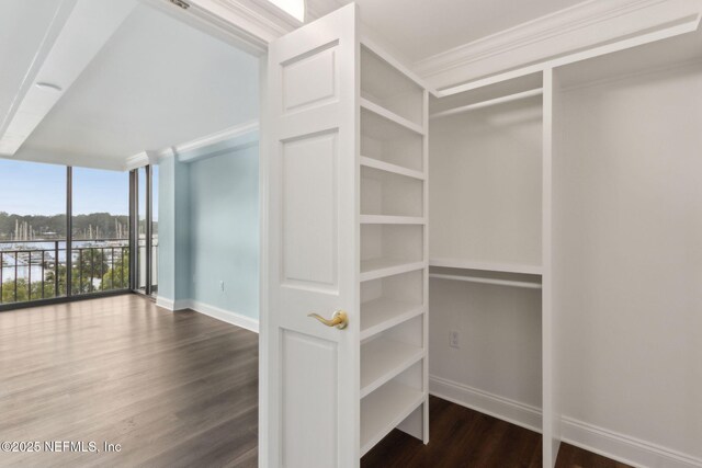 4401 Lakeside Dr Unit 404, Jacksonville, FL 32210 - photo 48