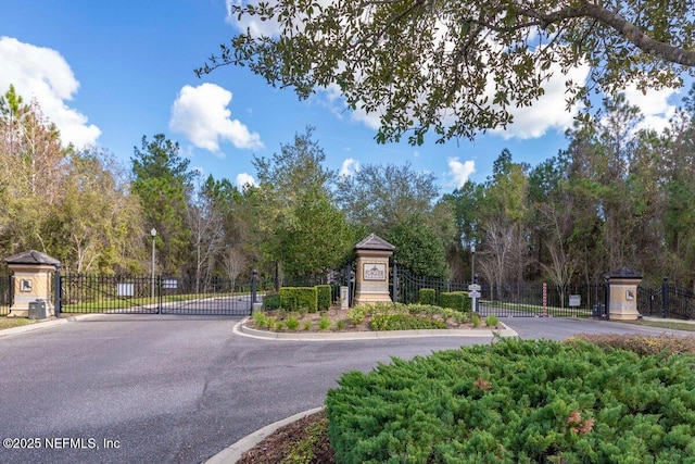 14092 Mahogany Ave, Jacksonville, FL 32258 - photo 26