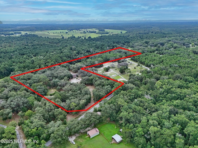 202 Bostwick Cemetery Rd, Palatka, FL 32177 - photo 1