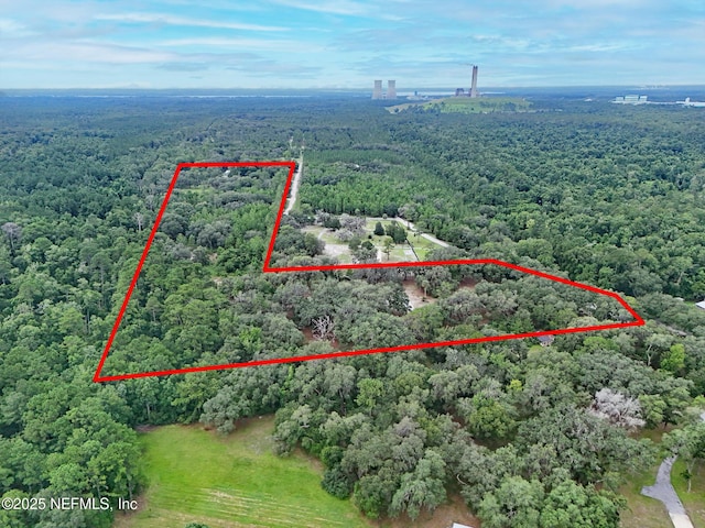 202 Bostwick Cemetery Rd, Palatka, FL 32177 - photo 3