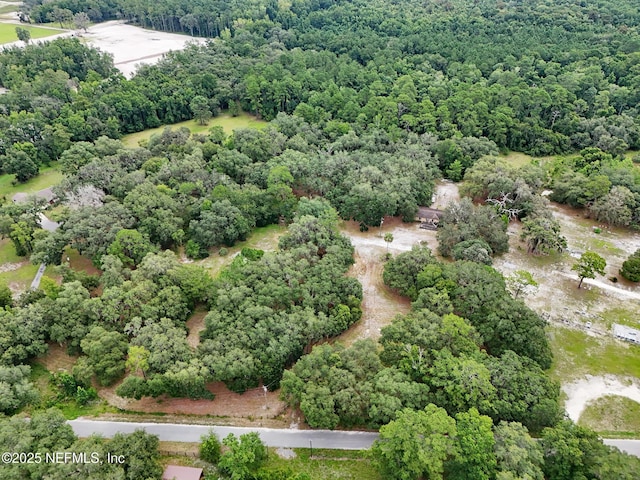 202 Bostwick Cemetery Rd, Palatka, FL 32177 - photo 4