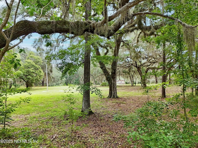 202 Bostwick Cemetery Rd, Palatka, FL 32177 - photo 9