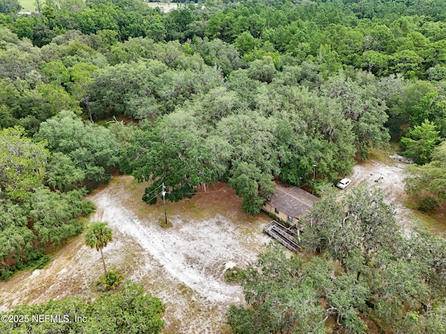 202 Bostwick Cemetery Rd, Palatka, FL 32177 - photo 10