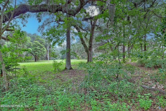 202 Bostwick Cemetery Rd, Palatka, FL 32177 - photo 12