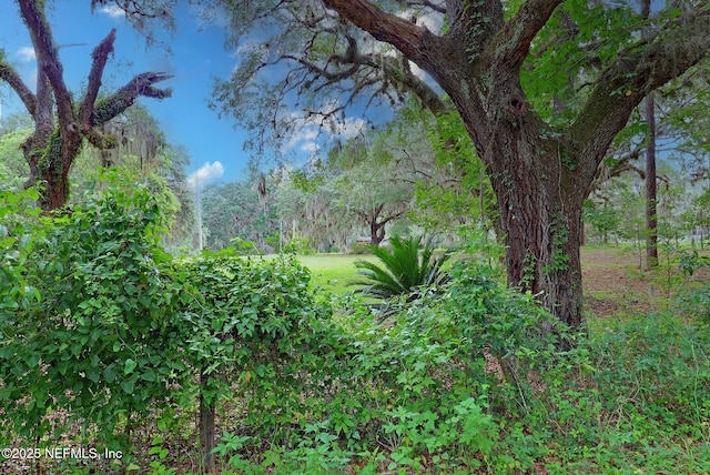 202 Bostwick Cemetery Rd, Palatka, FL 32177 - photo 13