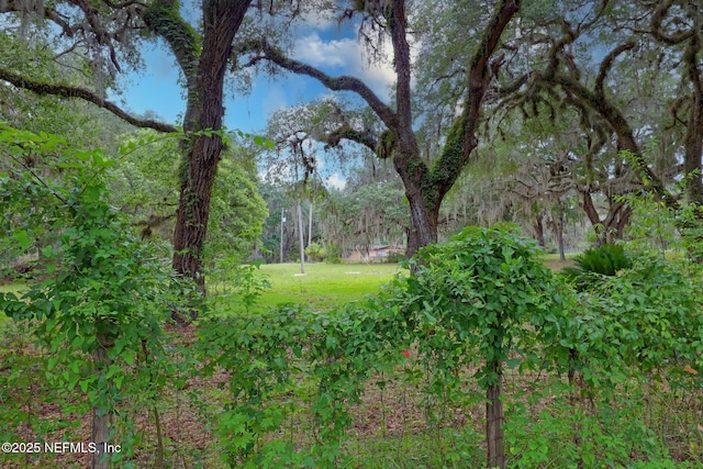 202 Bostwick Cemetery Rd, Palatka, FL 32177 - photo 14