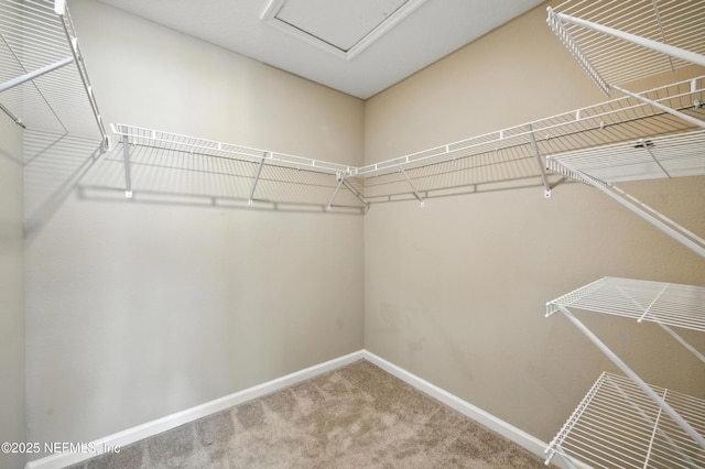 143 Boracay Cir, Saint Augustine, FL 32259 - photo 17