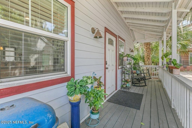 114 Martin Luther King Ave With Buildable Lot, With Buildable Lot, Saint Augustine, FL 32084 - photo 48