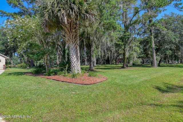 105 Dexter Ct, Crescent City, FL 32112 - photo 4