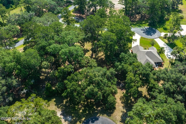 105 Dexter Ct, Crescent City, FL 32112 - photo 7
