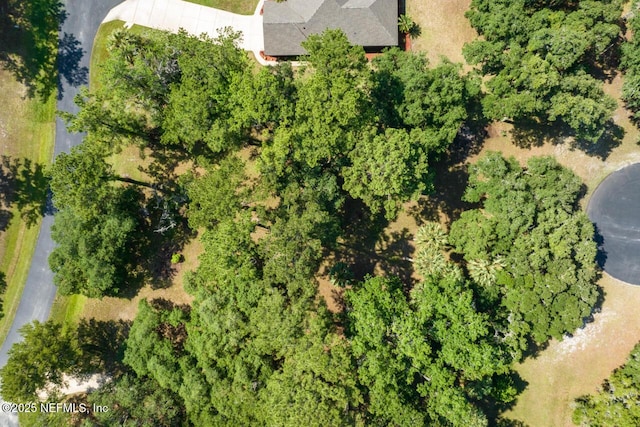105 Dexter Ct, Crescent City, FL 32112 - photo 8