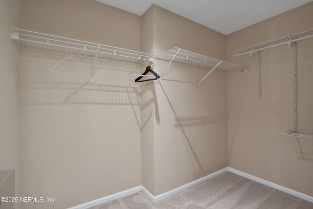 10200 Belle Rive Blvd Unit 4503, Jacksonville, FL 32256 - photo 19