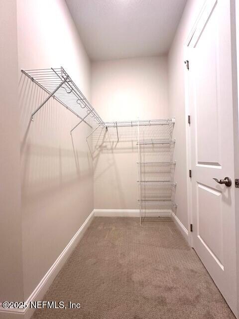 62 Birch Pt, Saint Johns, FL 32259 - photo 19