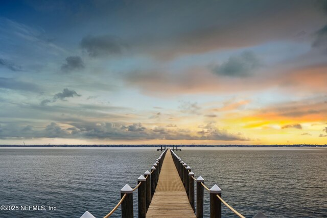 62 Birch Pt, Saint Johns, FL 32259 - photo 59