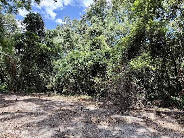 2901 Gordon St E, Orange Park, FL 32073 - photo 23
