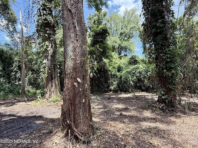 2901 Gordon St E, Orange Park, FL 32073 - photo 24