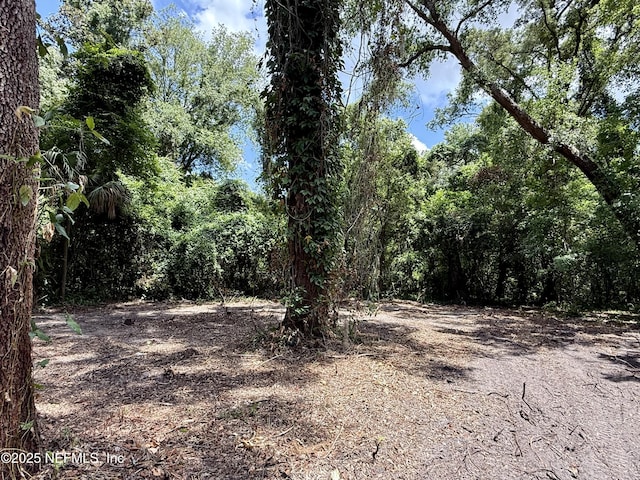 2901 Gordon St E, Orange Park, FL 32073 - photo 25