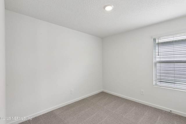 7826 Cahill Ln, Jacksonville, FL 32219 - photo 13
