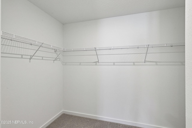 7826 Cahill Ln, Jacksonville, FL 32219 - photo 22