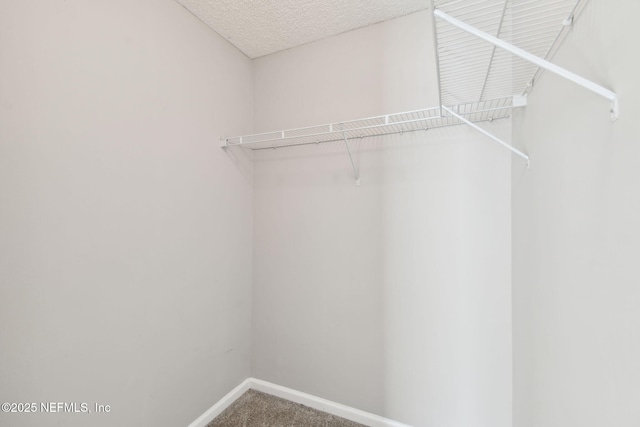1880 Creekview Dr, Green Cove Springs, FL 32043 - photo 17