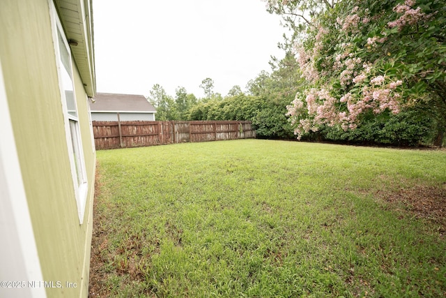 3013 Wavering Ln, Middleburg, FL 32068 - view of yard