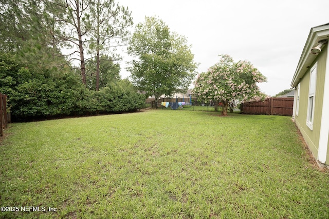 3013 Wavering Ln, Middleburg, FL 32068 - view of fenced backyard