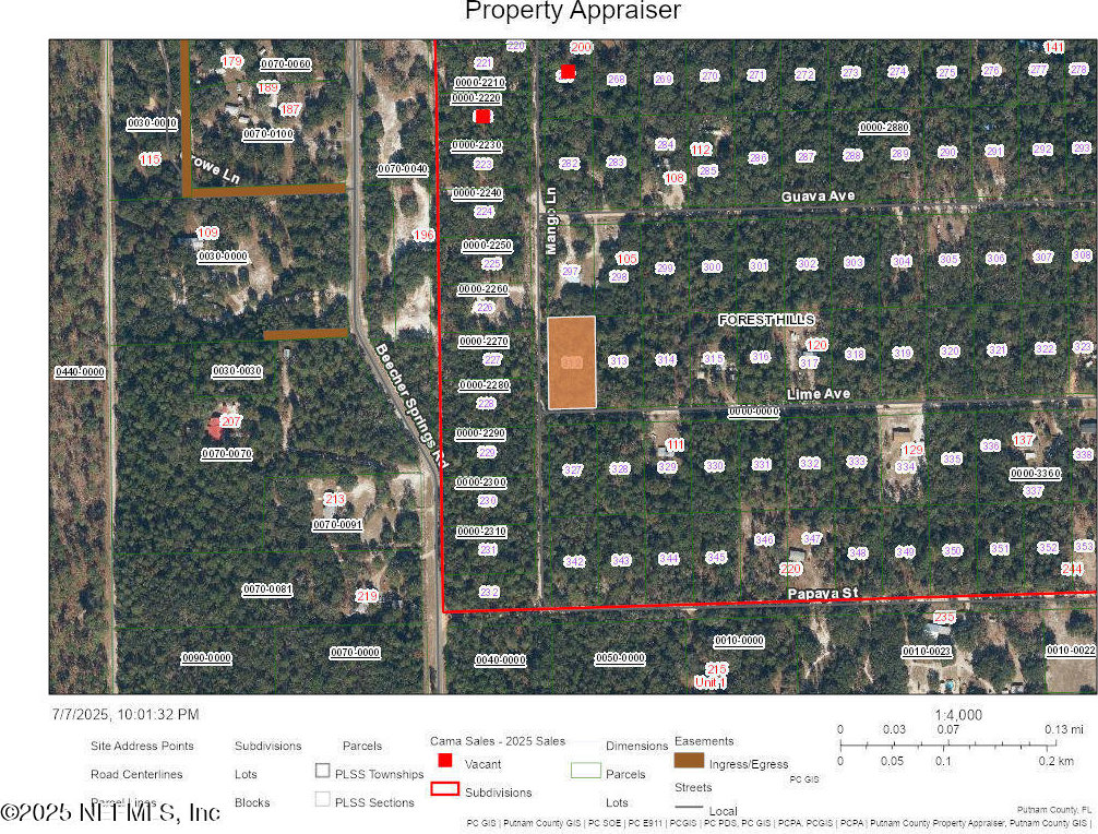 3120 Mango Ln, Pomona Park, FL 32181