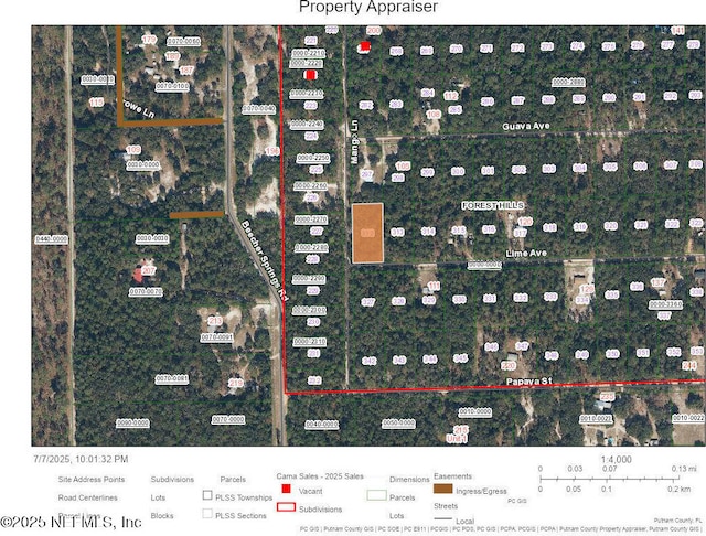 3120 Mango Ln, Pomona Park, FL 32181