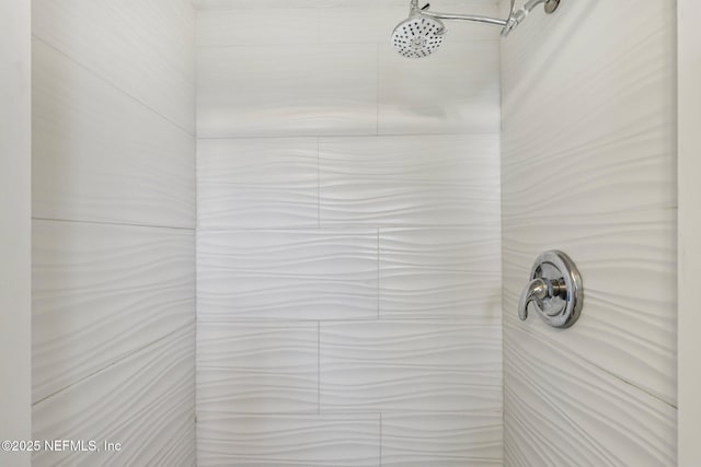 243 Ravenswood Dr, Saint Augustine, FL 32084 - bathroom view of a tile shower