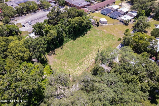 1009 Clemons Ln, Crescent City, FL 32112 - photo 3