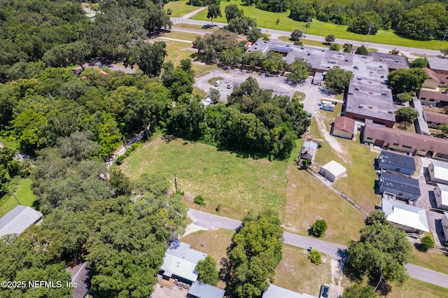 1009 Clemons Ln, Crescent City, FL 32112 - photo 6