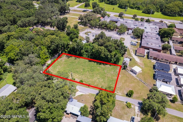 1009 Clemons Ln, Crescent City, FL 32112 - photo 5