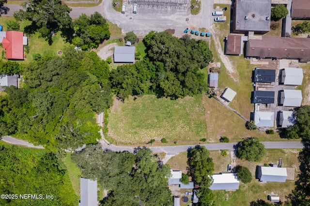1009 Clemons Ln, Crescent City, FL 32112 - photo 7