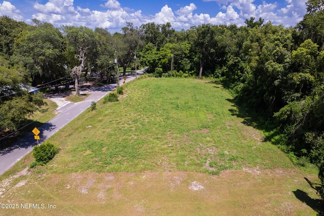 1009 Clemons Ln, Crescent City, FL 32112 - photo 1