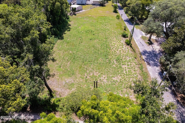 1009 Clemons Ln, Crescent City, FL 32112 - photo 2