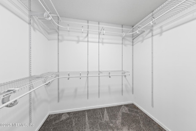 13254 Karla Cove Ln, Jacksonville, FL 32225 - walk in closet with dark colored carpet