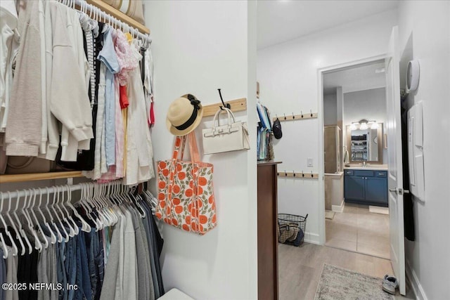 395 Jennie Lake Ct, Saint Johns, FL 32095 - walk in closet with light wood finished floors