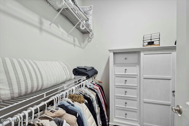 395 Jennie Lake Ct, Saint Johns, FL 32095 - view of walk in closet