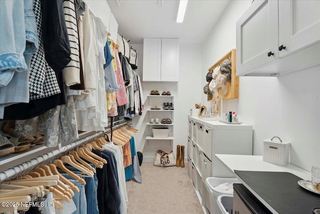 395 Jennie Lake Ct, Saint Johns, FL 32095 - spacious closet featuring light colored carpet
