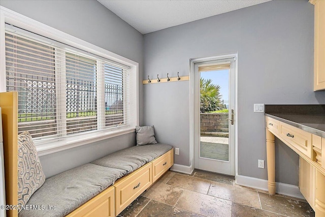 2481 S Ponte Vedra Blvd, Ponte Vedra Beach, FL 32082 - mudroom with stone tile flooring and plenty of natural light