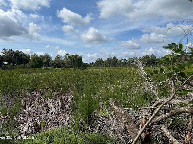 151 Long Branch Trl, Interlachen, FL 32148